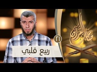 ربيع قلبي | ح21 | صاحبك القرآن | الدكتور محمد علي يوسف