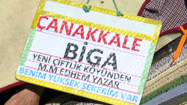 CHP İstanbul İl Başkanı Canan Kaftancıoğlu - İSTANBUL