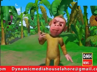 Human and animals | similar habbit dont laugh 2018