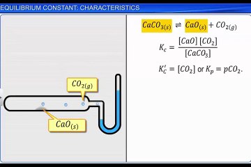 (5)CBSE Class 11 Chemistry, Equilibrium – 5, Equilibrium Constant  Characteristics