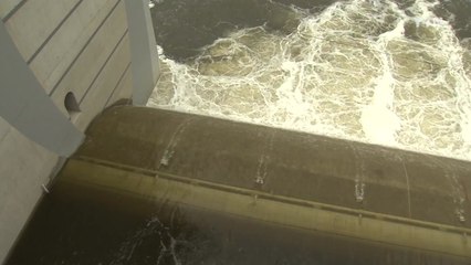 정부 "4대강 보 개방 후 물 흐름 회복·녹조 감소" / YTN