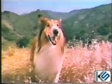 Lassie Revient en Force en 1989 : Découvrez l'Émotion et l'Aventure avec le Générique de 