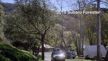 2018 Subaru Forester West Palm Beach FL | Subaru Dealership Miami FL