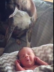 We are gonna forever together Credit: ViralHog