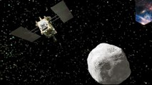 Japan space probe reaches asteroid 3 BILLION KM away