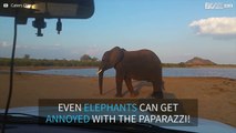 Να γιατί δεν πρέπει να νευριάσεις έναν ελέφαντα