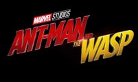 Ant-Man and the Wasp Trailer  2 (2018) - Movieclips Trailers - YouTube9522
