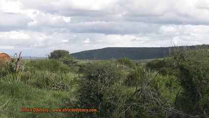Safari Holidays - Laikipia, Kenya