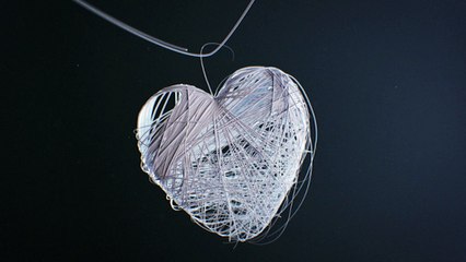 CBS Reality - SNAPPED KILLER COUPLES S8