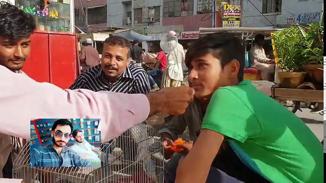 Wo Aisa Konsa Prinda Hai Jo Urr Nehin Sakta- ...- - ACHAANAK COMEDIANS