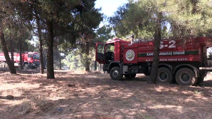 Gaziantep'te orman yangın (3) - GAZİANTEP