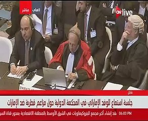 وفد الإمارات لـ"الجنائية الدولية": قطر دعمت الإرهاب بالمنطقة العربية