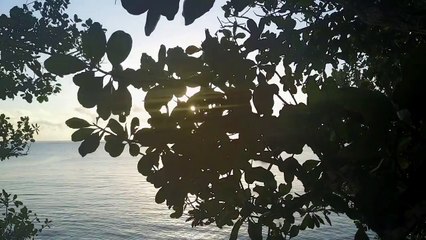 We know how to do sunrises here in the Seychelles! ;-) JGP Productions captured this incredible sunrise at Au Cap, along the eastern coast of Mahe island!