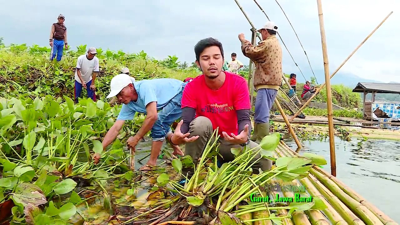 JEJAK PETUALANG - KEKAYAAN DANAU PEGUNUNGAN SITU BAGENDIT