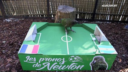 Le prono de Newton : les Bleus vont-ils faire tomber l'Argentine de Messi ?