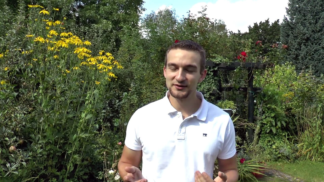 Criss Cross Pfoten kreuzen Tutorial Clicker Training Hunde Tricks beibringen