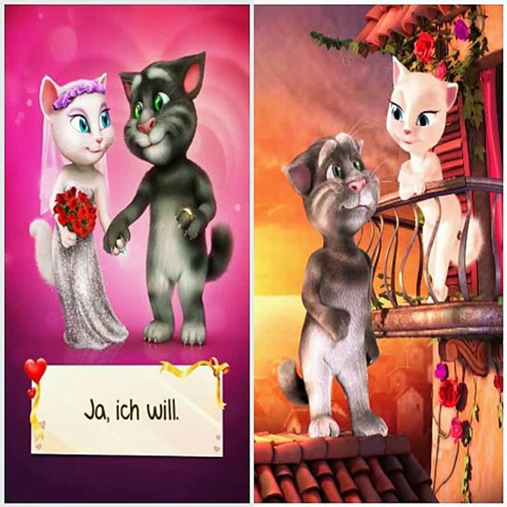 Katzen singen