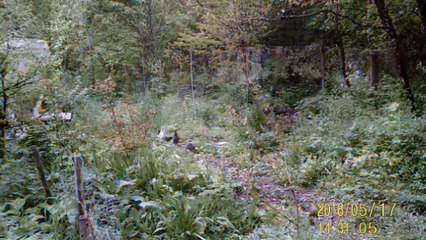 Y a cor dix filles à Questembert