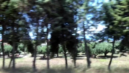 Beautiful Trees,Sky and Sea
