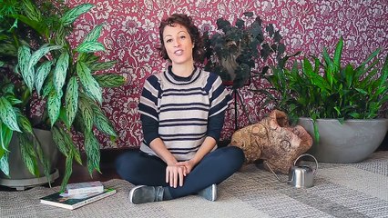 Quer LARGAR TUDO e trabalhar com PLANTAS? Este vídeo é pra você