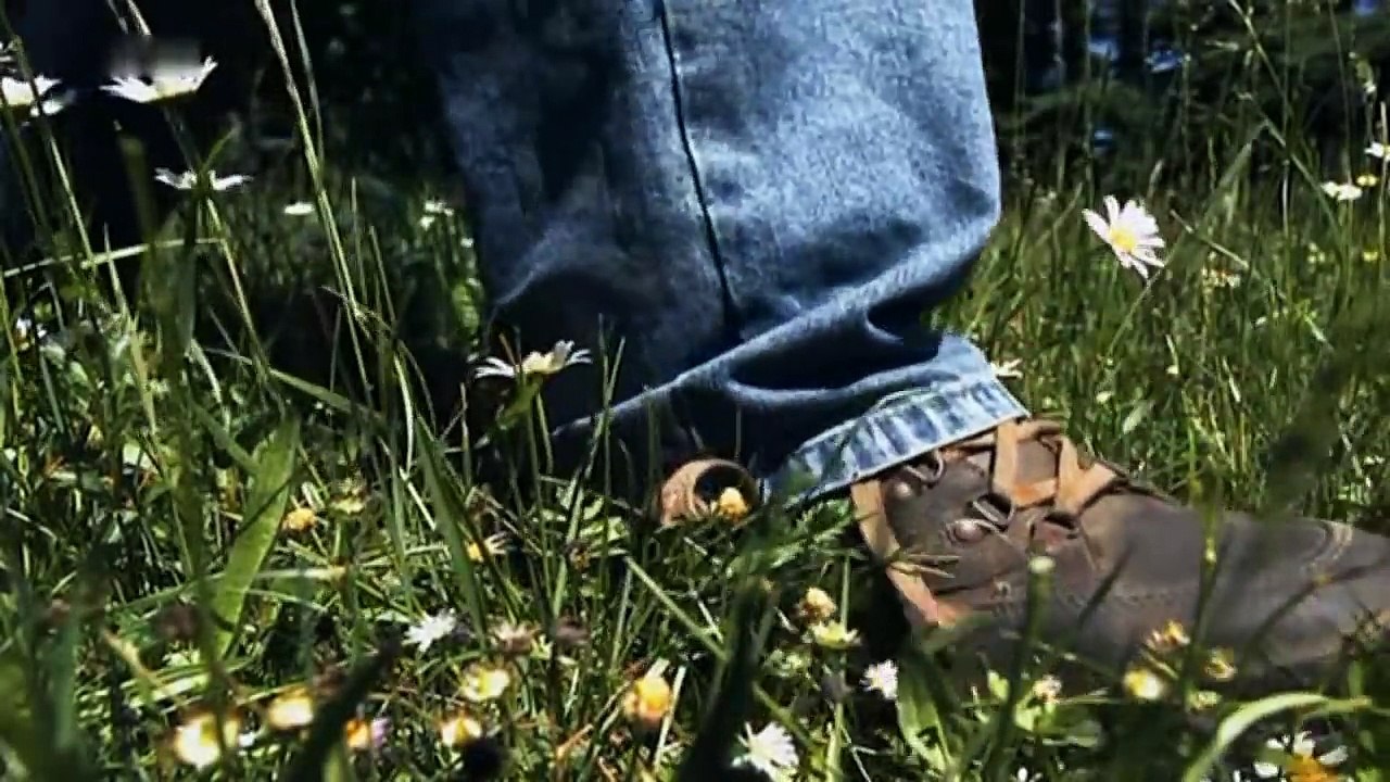 Kluge Pflanzen Wie die wilden Tiere 1v4 Doku EP01 HD