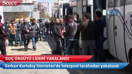 Suç örgütünün lideri Interpol tarafından yakalandı