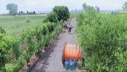 İşsiz gençlere hünnap tavsiyesi