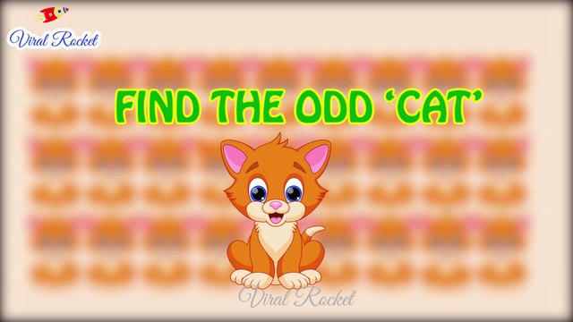 Find the Odd One Out - Puzzles for Genius Minds || Puzzle Time # 4 || Puzzles for fun, Puzzle Games || Viral Rocket