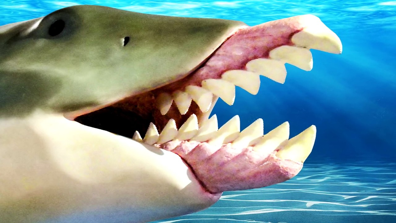 Schreckliche Monster aus der Urzeit die zum Glück ausgestorben sind!