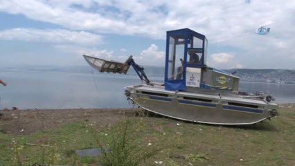 Sazlıklara Saklanan Kaçak Midye Avcıları, Amfibik Araçla Yakalandı
