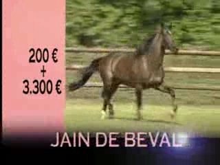 Haras de Retz 2008: Quality You Can Access