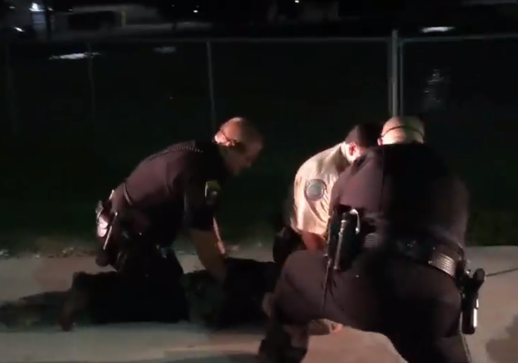 Police Officers Wrestle Large Alligator Outside Texas Walmart