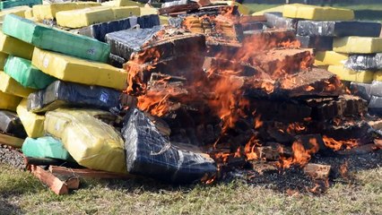 Paraguai queima toneladas de maconha