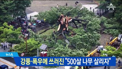 [이 시각 핫뉴스]‘분실 면허증’이 참변 불렀다