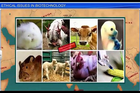 (4)CBSE CBSE Class 12 Biology, Biotechnology And Its Applications – 4, Ethical Issues in Biotechnolo