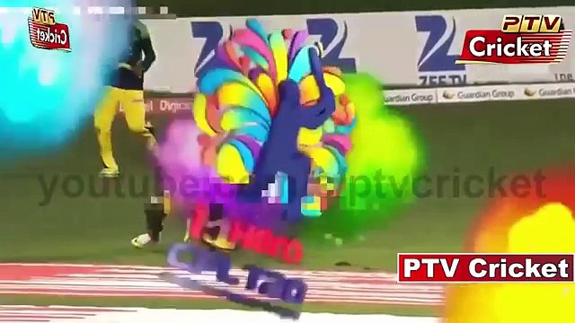 Hashim Amla V Dale Steyn - Who wins- Amla Or Steyn