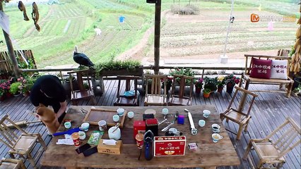 《向往的生活2》：超强存在感，黄渤小H终于合体啦，简直是复制粘贴了 Back to Field S02【湖南卫视官方频道】