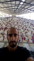 Hindileri ile efsane konser veren adam