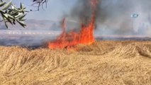 Sivas'ta Buğday Tarlasında Yangın