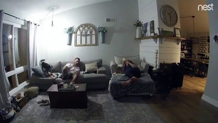 Un chien saute au mauvais endroit !