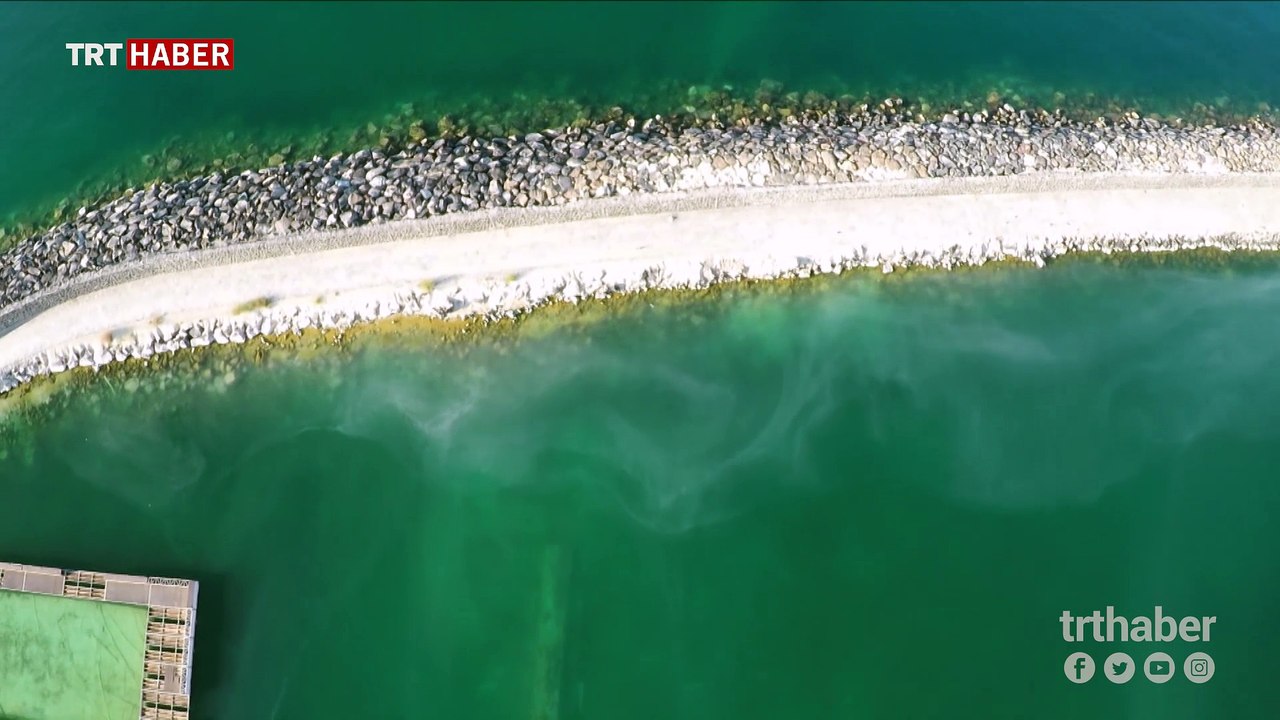 TRT Haber "Mavi Tutku" ekibi Van Gölü'nde yeni bir keşfe imza attı