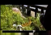 Serial Killers - Arthur Shawcross (Genesee River Strangler) - Documentary