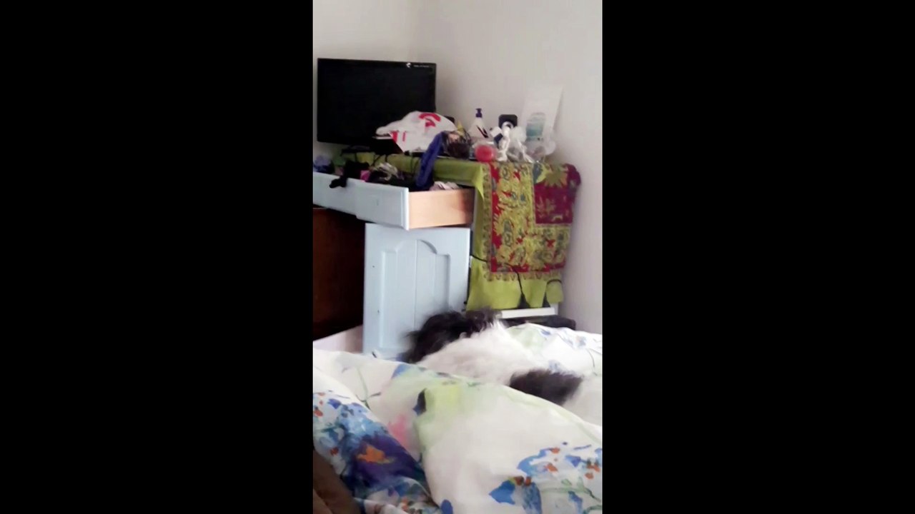 Fart Alarm Clock