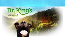 Dr Kings KingBio Natural Pet Pharmaceuticals - Gentle Relief with no Harmful Side Effects