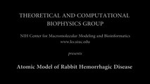 Atomic Model of Rabbit Hemorrhagic Disease Virus