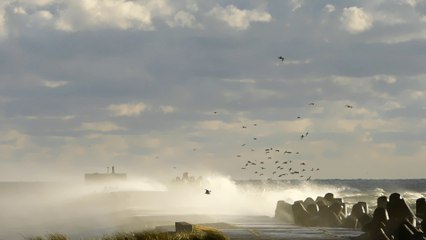 Шторм, июль, Лиепая.