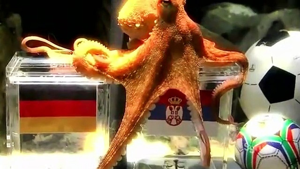 Weird Or What - S03 E05 - Weird Animal Behaviour [HQ]