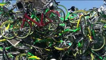 Colorado Bike Shops Question Why Lime Scrapped Dozens of Bikes