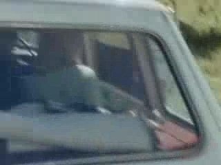 Bouffer par des lionnes