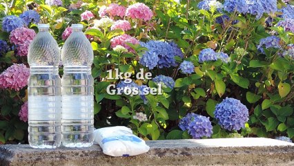 Astuce pour réaliser un désherbant naturel bio .